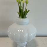 Tulips White Bouquet 5 pcs