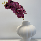 Orchid Raspberry Blush