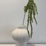 Amaranthus Green - Bellavé Studio