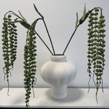 Amaranthus Green - Bellavé Studio