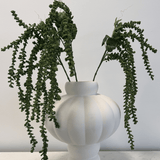 Amaranthus Green Bouquet - Bellavé Studio