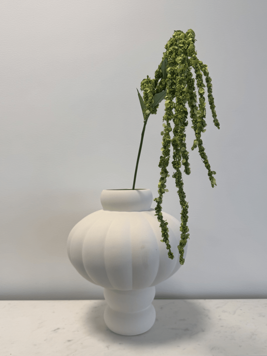 Amaranthus Green Bouquet - Bellavé Studio
