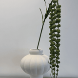 Amaranthus Green Bouquet - Bellavé Studio