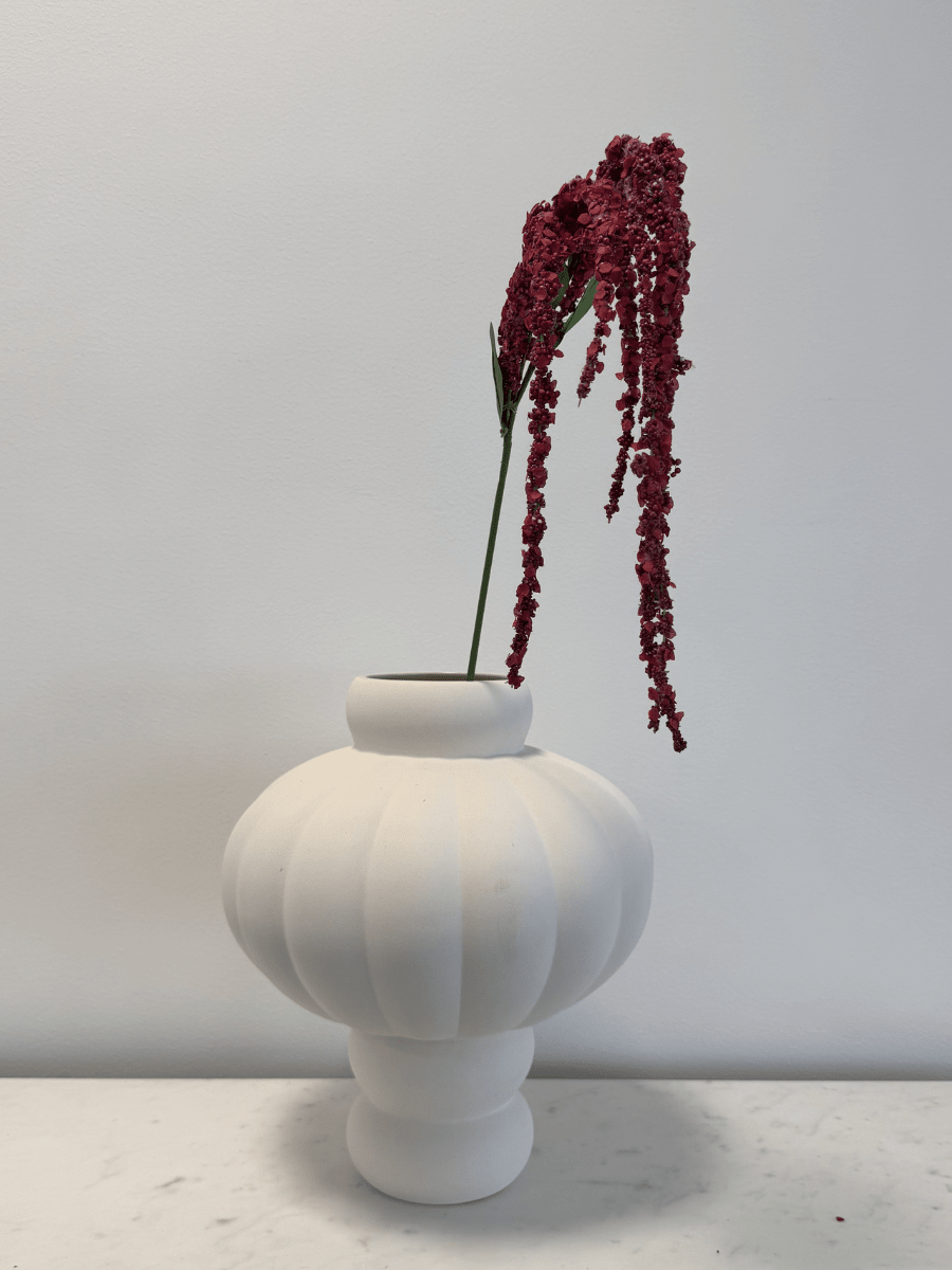 Amaranthus Red - Bellavé Studio