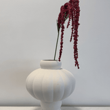 Amaranthus Red - Bellavé Studio