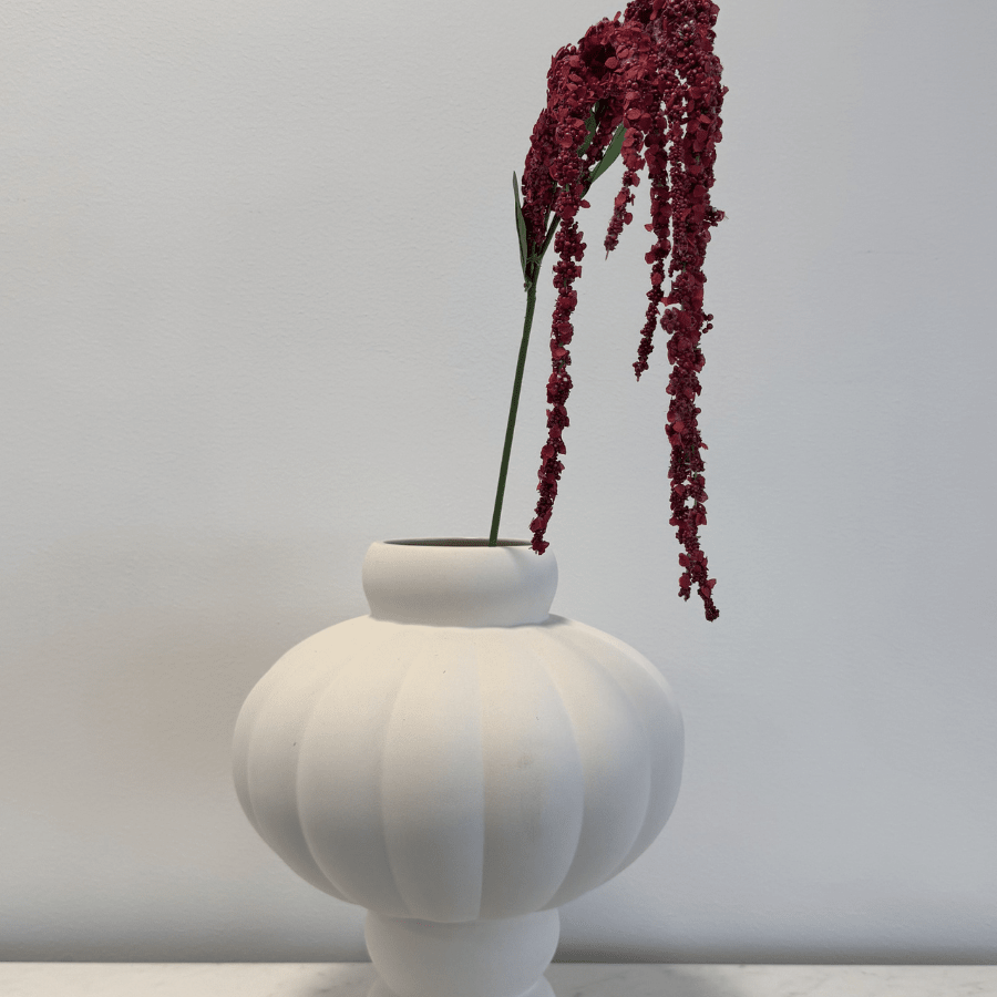 Amaranthus Red - Bellavé Studio