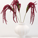 Amaranthus Red Bouquet - Bellavé Studio