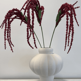 Amaranthus Red Bouquet - Bellavé Studio
