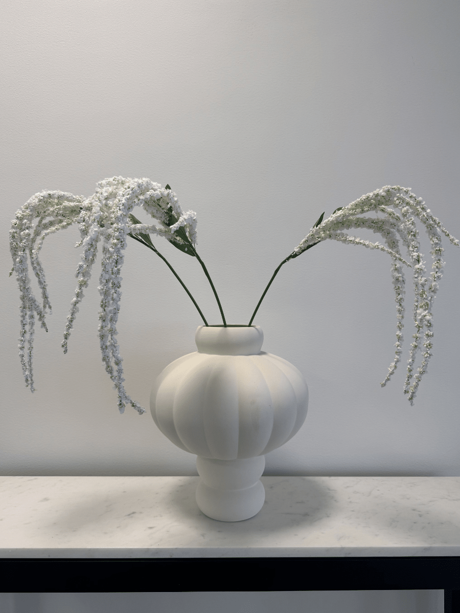 Amaranthus White - Bellavé Studio
