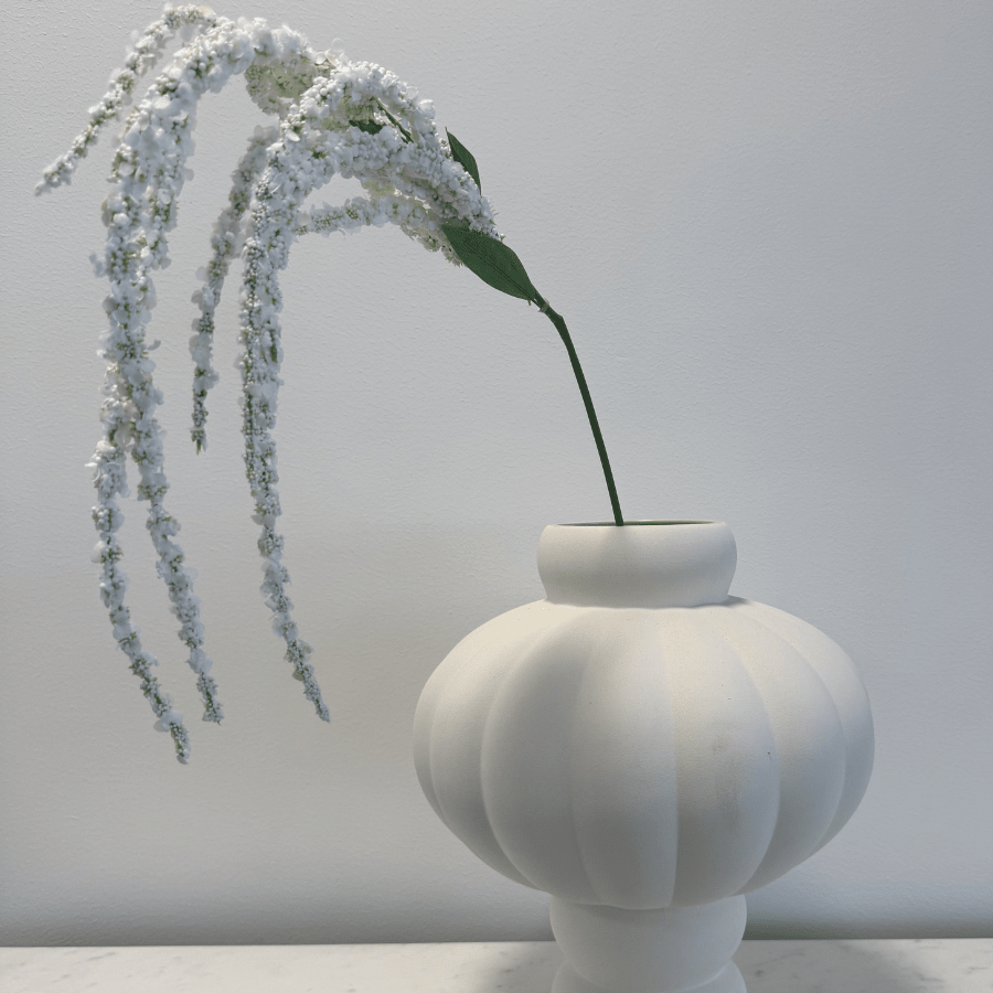 Amaranthus White - Bellavé Studio