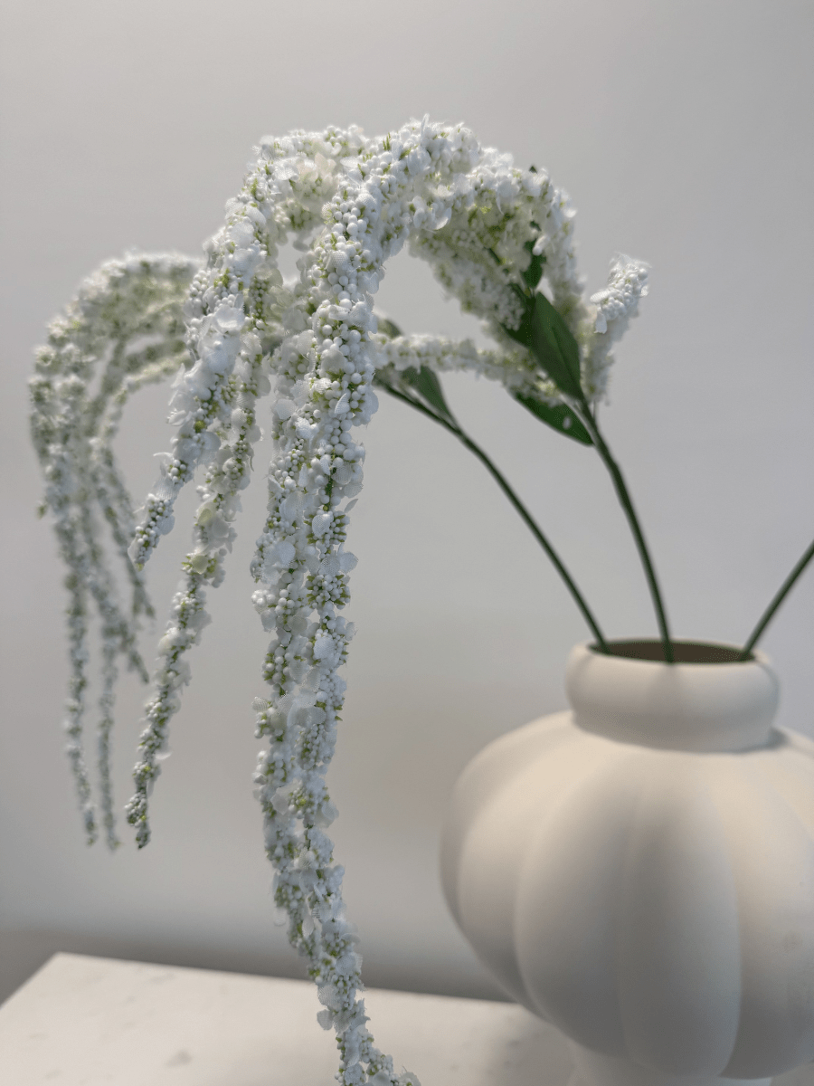 Amaranthus White - Bellavé Studio