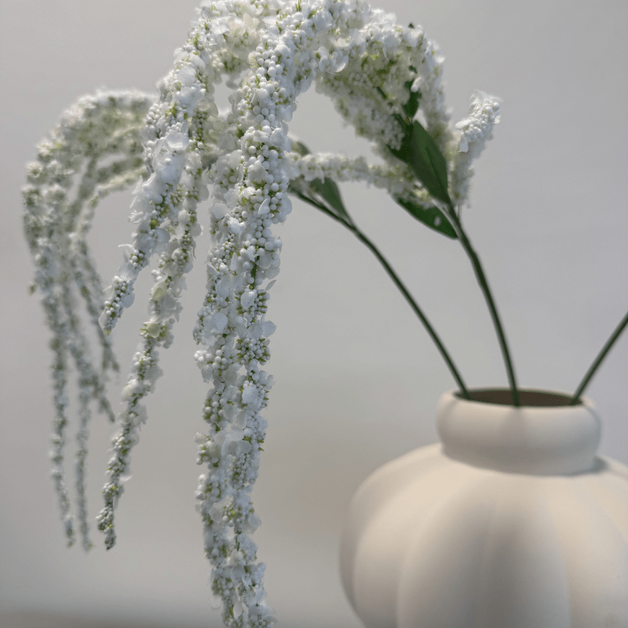 Amaranthus White - Bellavé Studio
