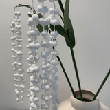 Amaranthus White - Bellavé Studio
