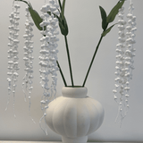 Amaranthus White - Bellavé Studio