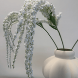 Amaranthus White Bouquet - Bellavé Studio
