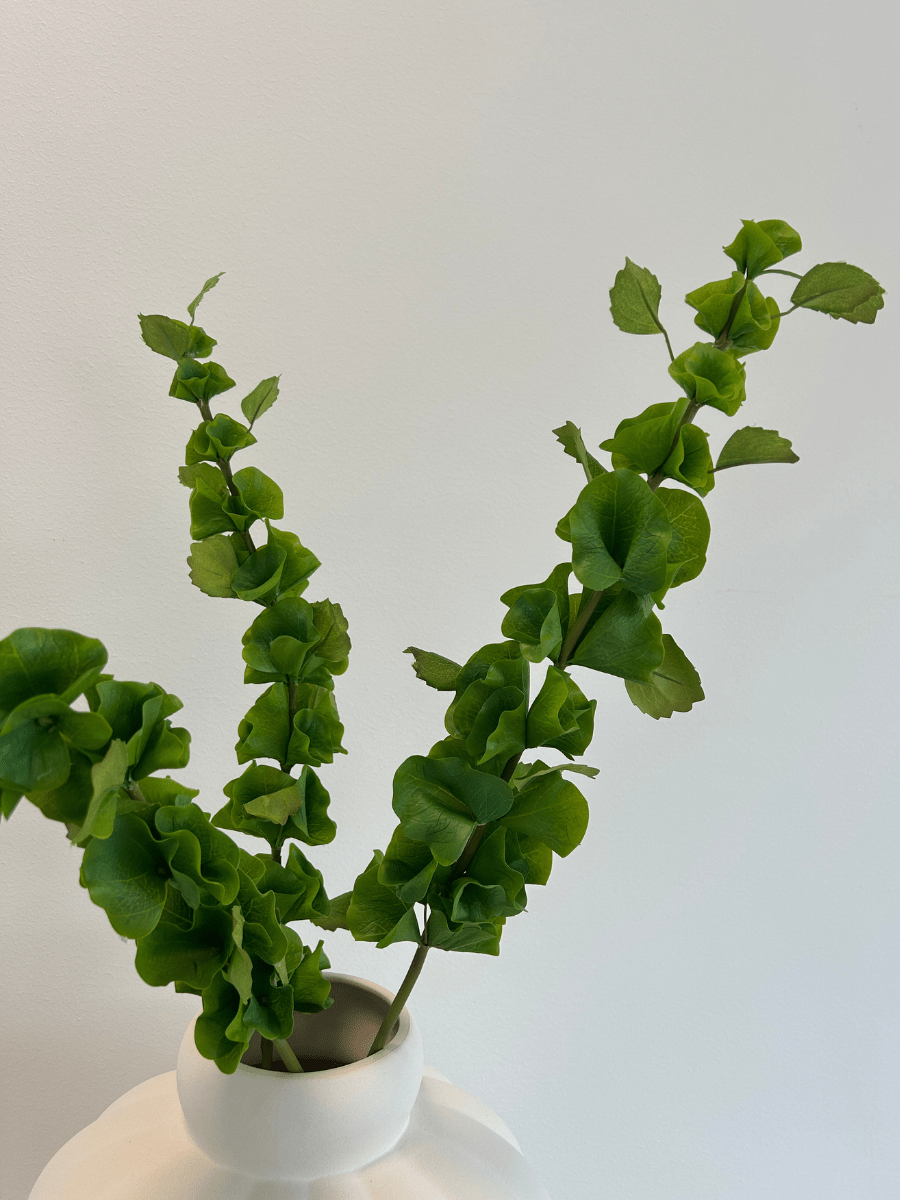 Bells of Ireland Leaves Bouquet - Bellavé Studio