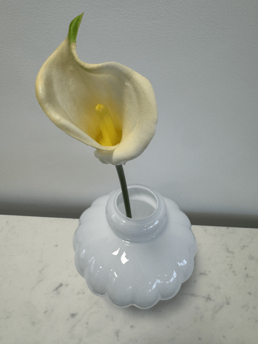 Calla Lily White - Bellavé Studio