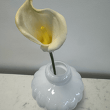 Calla Lily White - Bellavé Studio