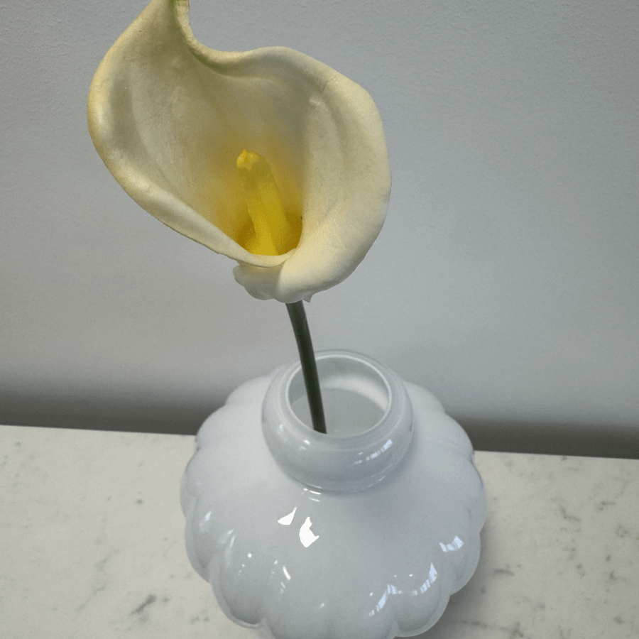 Calla Lily White - Bellavé Studio