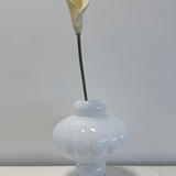 Calla Lily White - Bellavé Studio