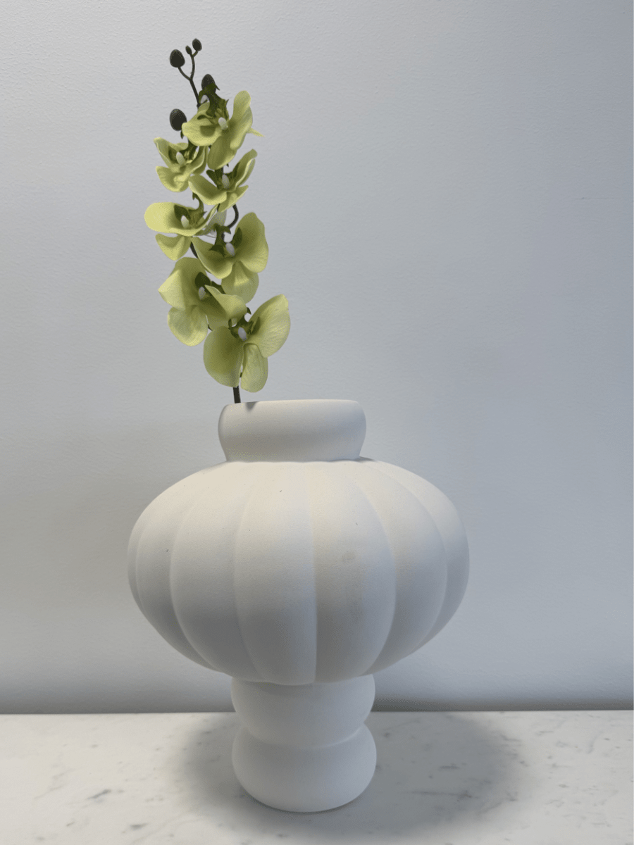 Cymbidium Orchid Light Green - Bellavé Studio