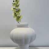 Cymbidium Orchid Light Green - Bellavé Studio