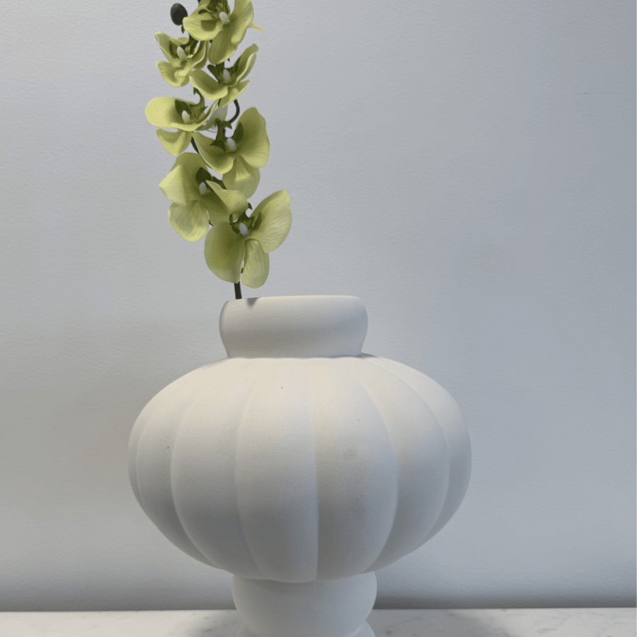 Cymbidium Orchid Light Green - Bellavé Studio