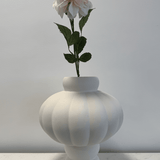 Dahlia White Pink - Bellavé Studio