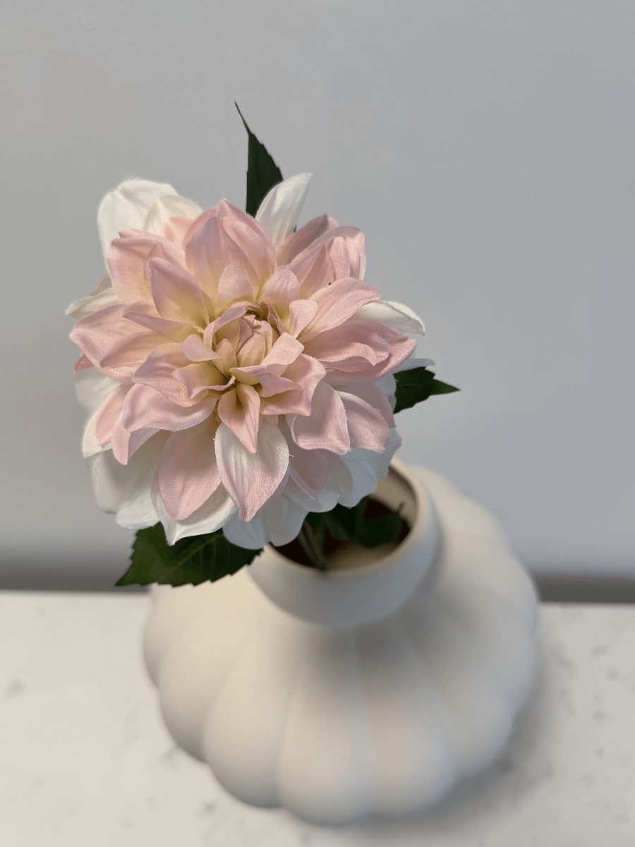 Dahlia White Pink - Bellavé Studio
