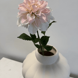 Dahlia White Pink - Bellavé Studio