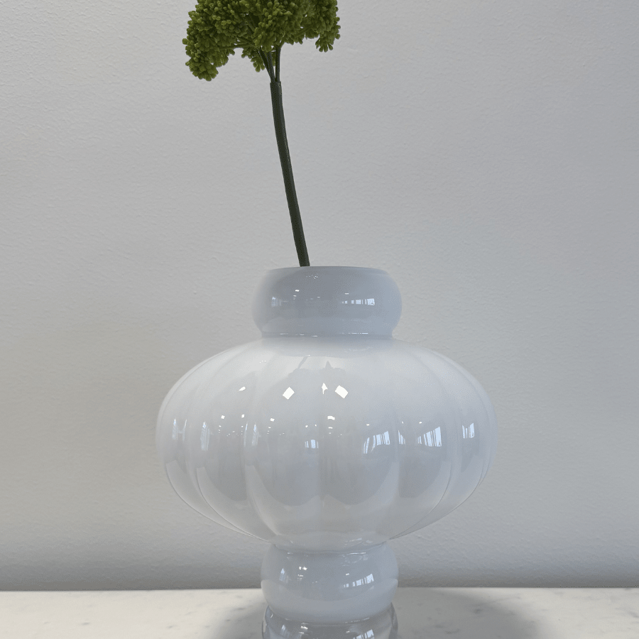 Dianthus Barbatus “Green Ball” Dark Green - Bellavé Studio