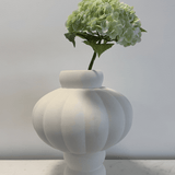Hydrangea Light Green - Bellavé Studio