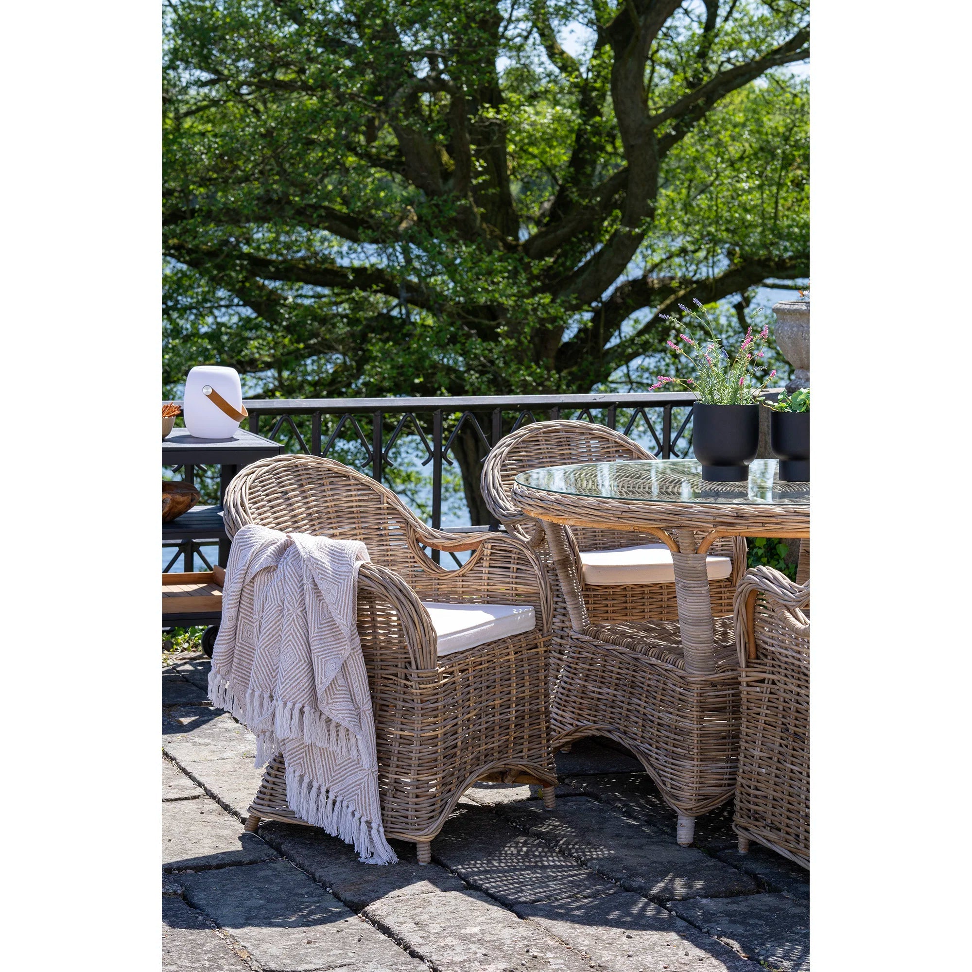 Larisa Dining Chair - Bellavé Studio