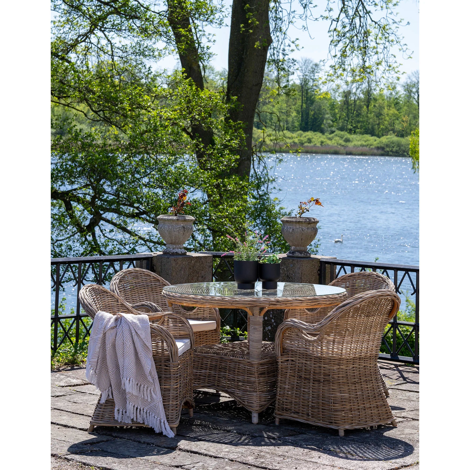 Larisa Dining Chair - Bellavé Studio