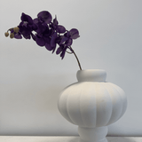 Orchid Deep Purple - Bellavé Studio