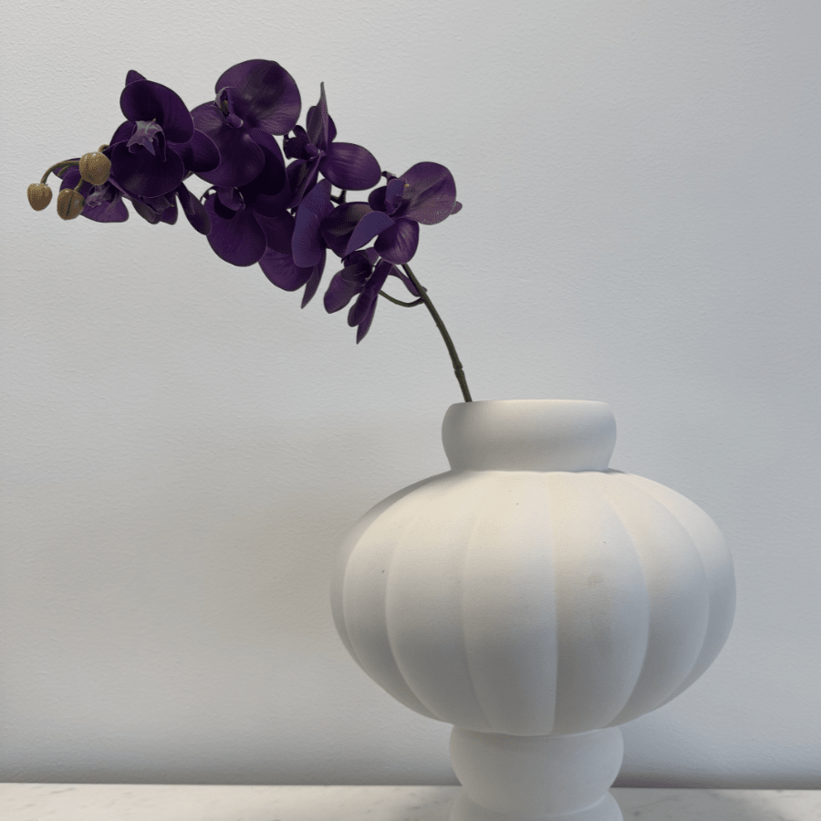 Orchid Deep Purple - Bellavé Studio