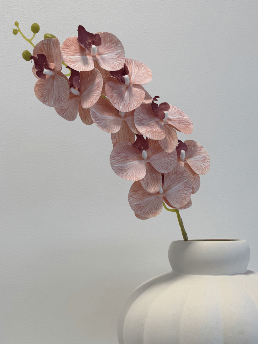 Orchid Peach - Bellavé Studio