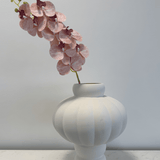 Orchid Peach - Bellavé Studio