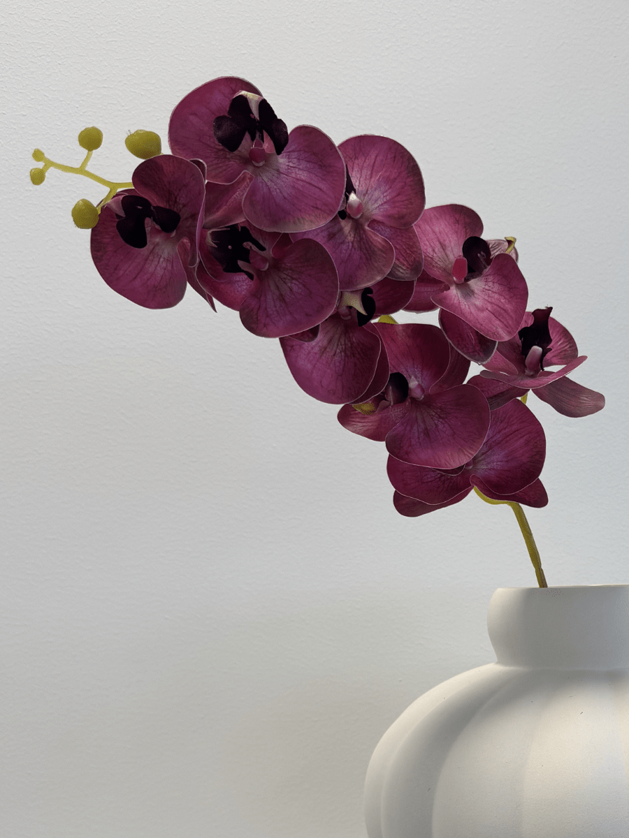 Orchid Raspberry Blush - Bellavé Studio