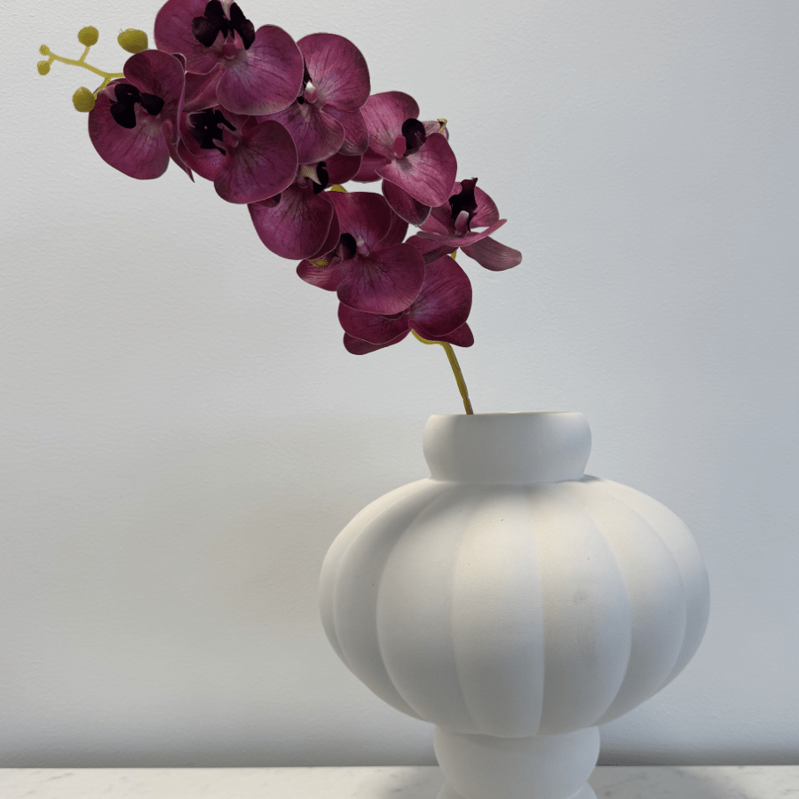 Orchid Raspberry Blush - Bellavé Studio