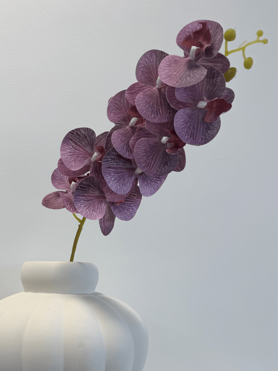 Orchid Soft Lavender - Bellavé Studio