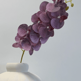 Orchid Soft Lavender - Bellavé Studio