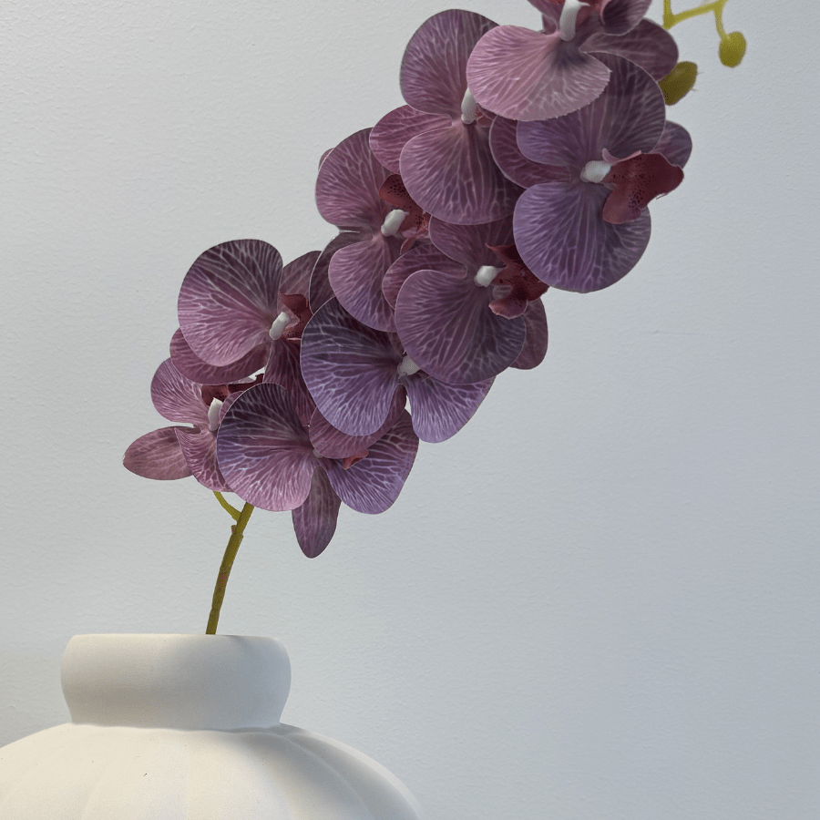 Orchid Soft Lavender - Bellavé Studio