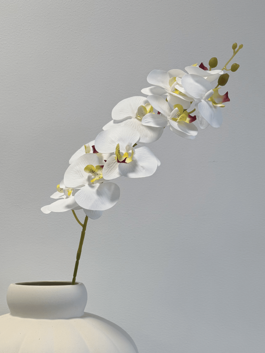 Orchid White - Bellavé Studio
