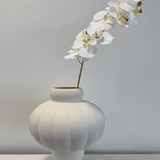 Orchid White - Bellavé Studio