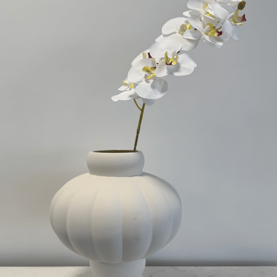 Orchid White - Bellavé Studio