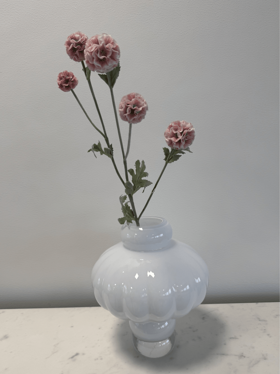 Scabiosa Pink - Bellavé Studio