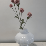 Scabiosa Pink - Bellavé Studio