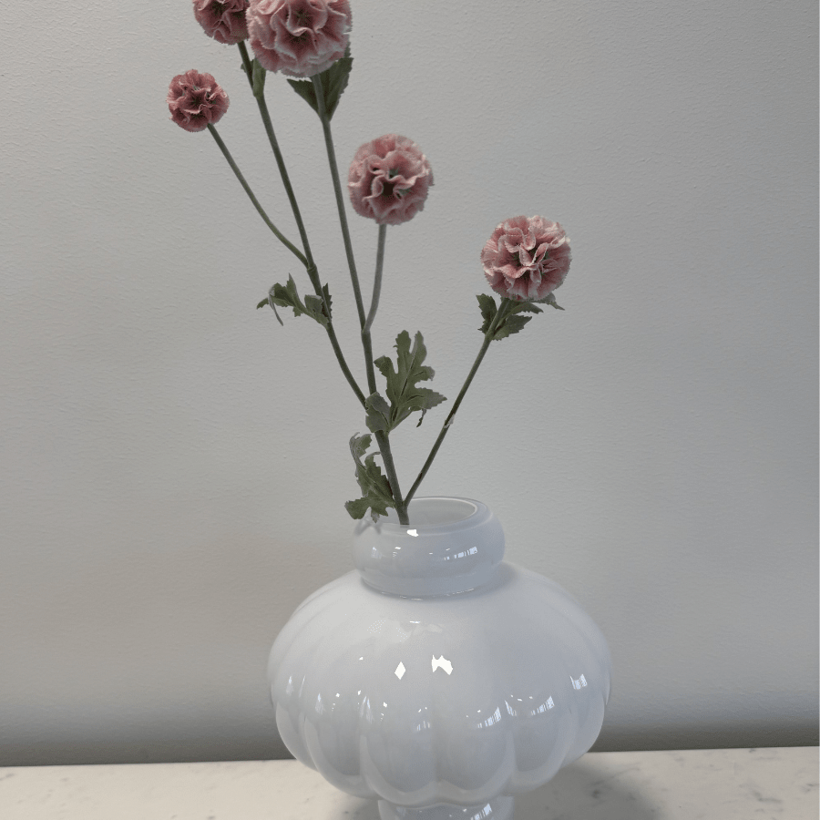 Scabiosa Pink - Bellavé Studio