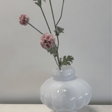 Scabiosa Pink - Bellavé Studio